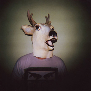 deer2.jpg