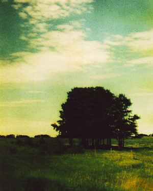prairiesummer2.jpg